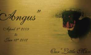 Photo printing directly onto metal